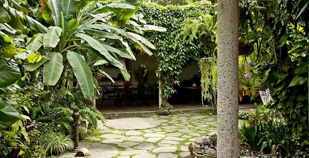 Hotel Arbol De Fuego San Salvador Buitenkant foto