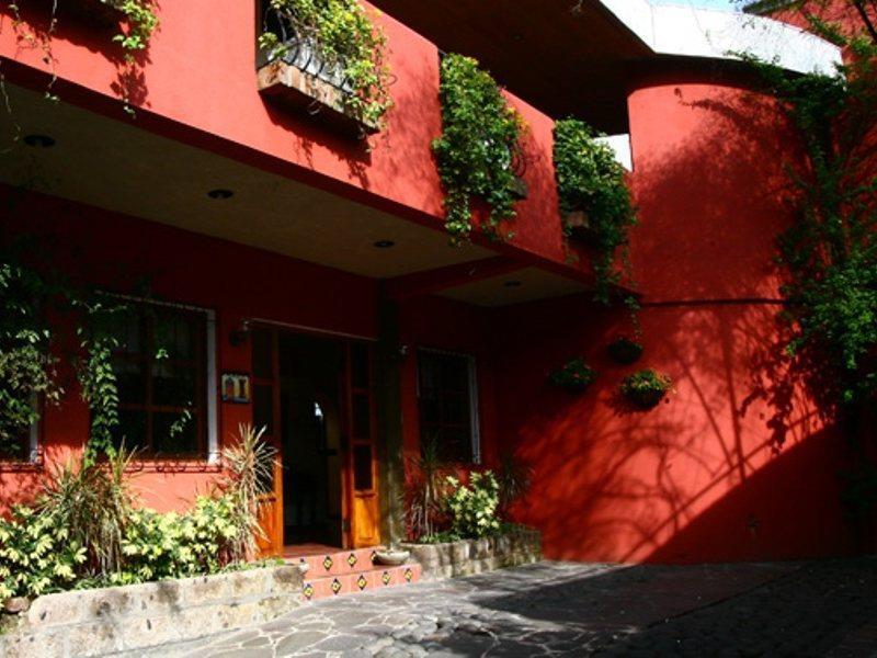 Hotel Arbol De Fuego San Salvador Buitenkant foto