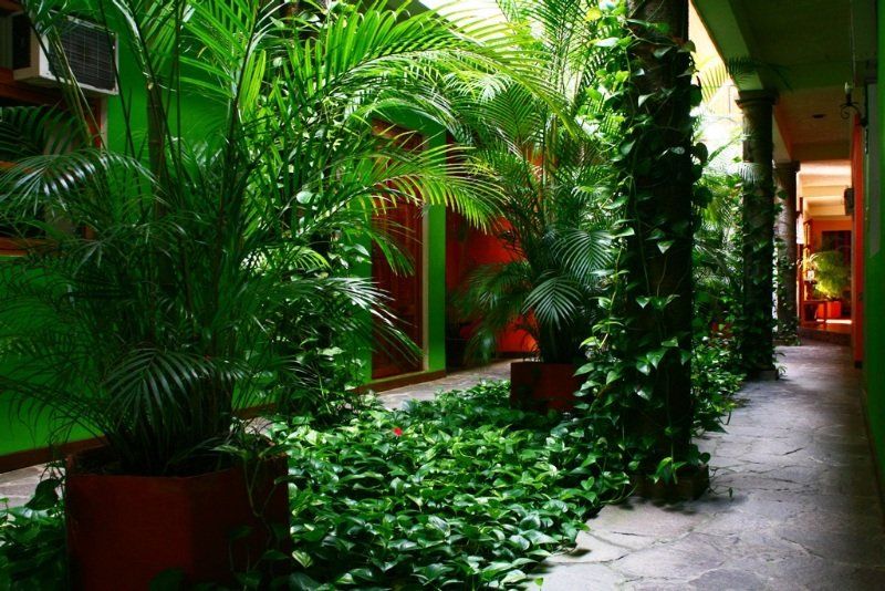 Hotel Arbol De Fuego San Salvador Buitenkant foto