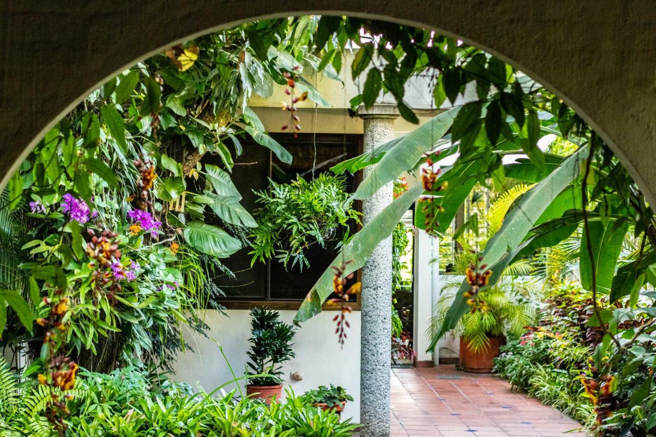 Hotel Arbol De Fuego San Salvador Buitenkant foto
